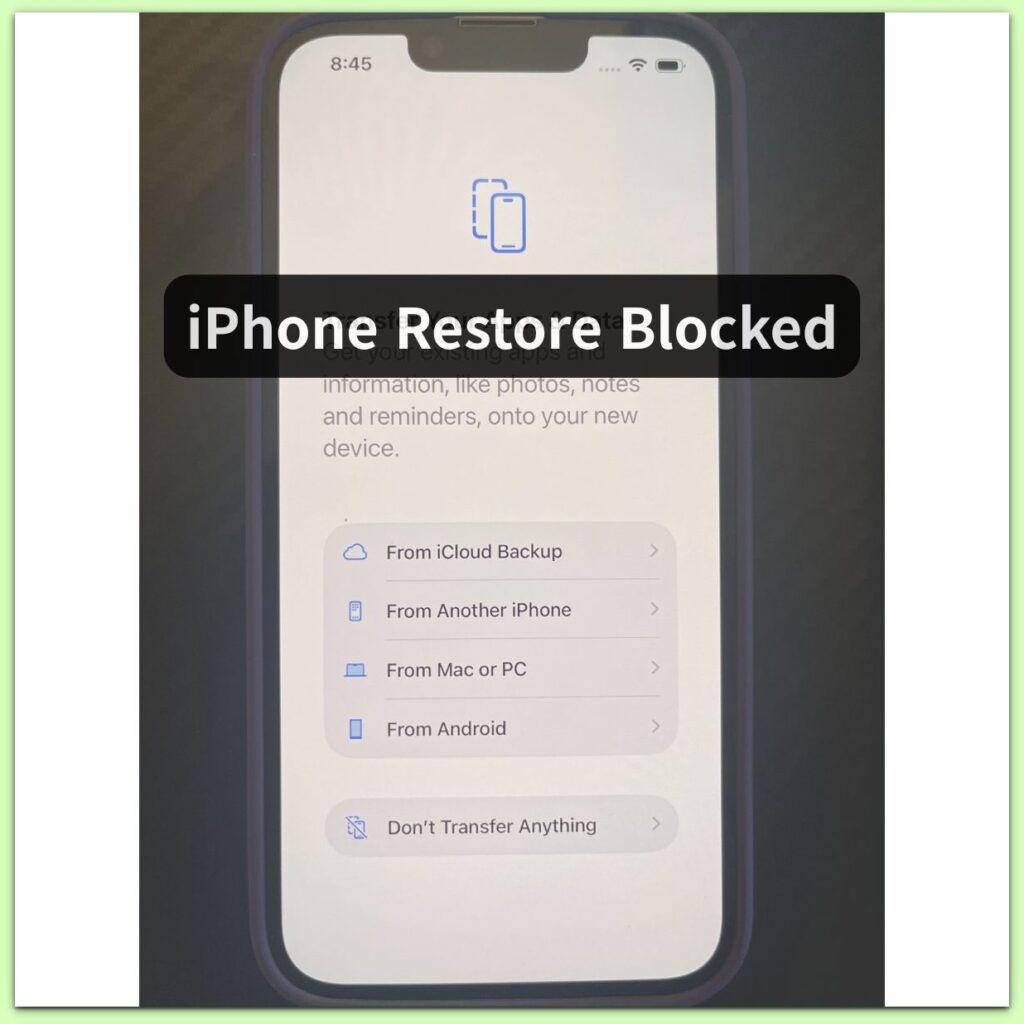 iphone apps and data restore options screen