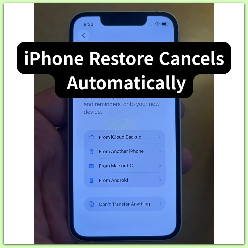 iphone restore cancels automatically entry point before system evaluation