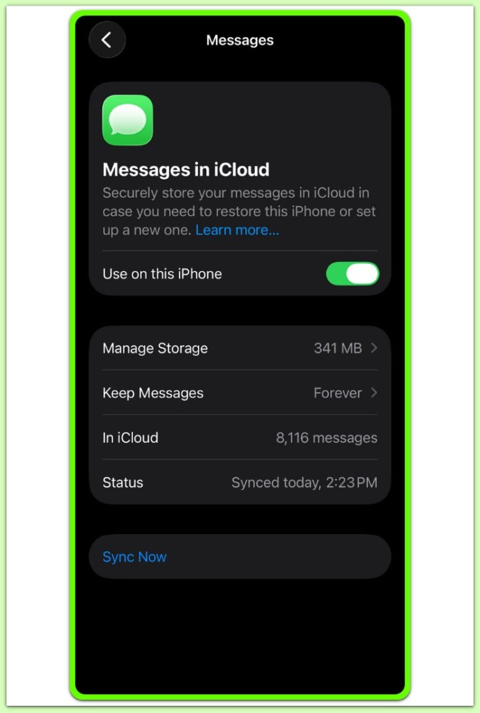 messages in icloud sync setting on iphone
