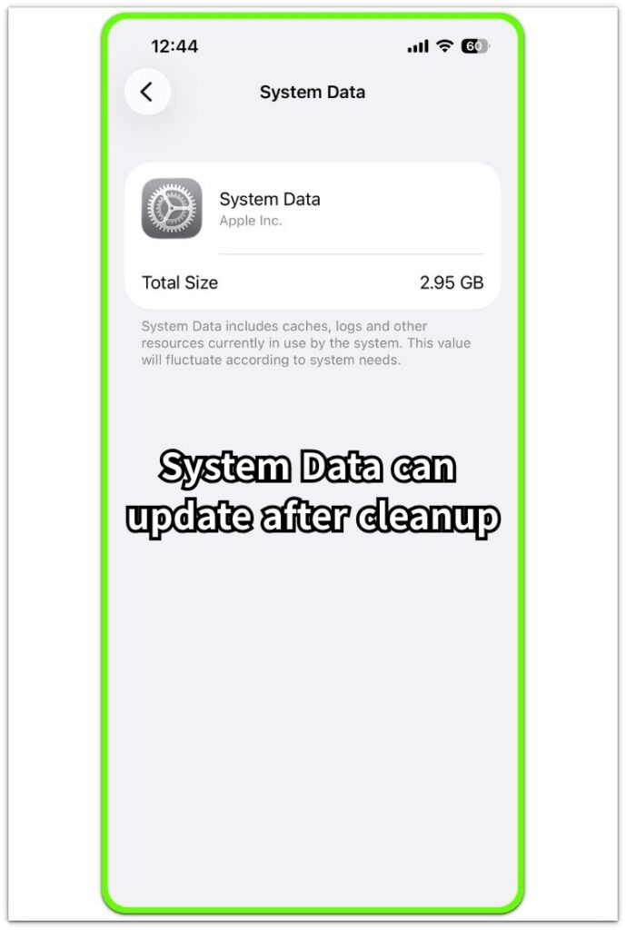 System Data screen showing storage size after deleting files on iPhone