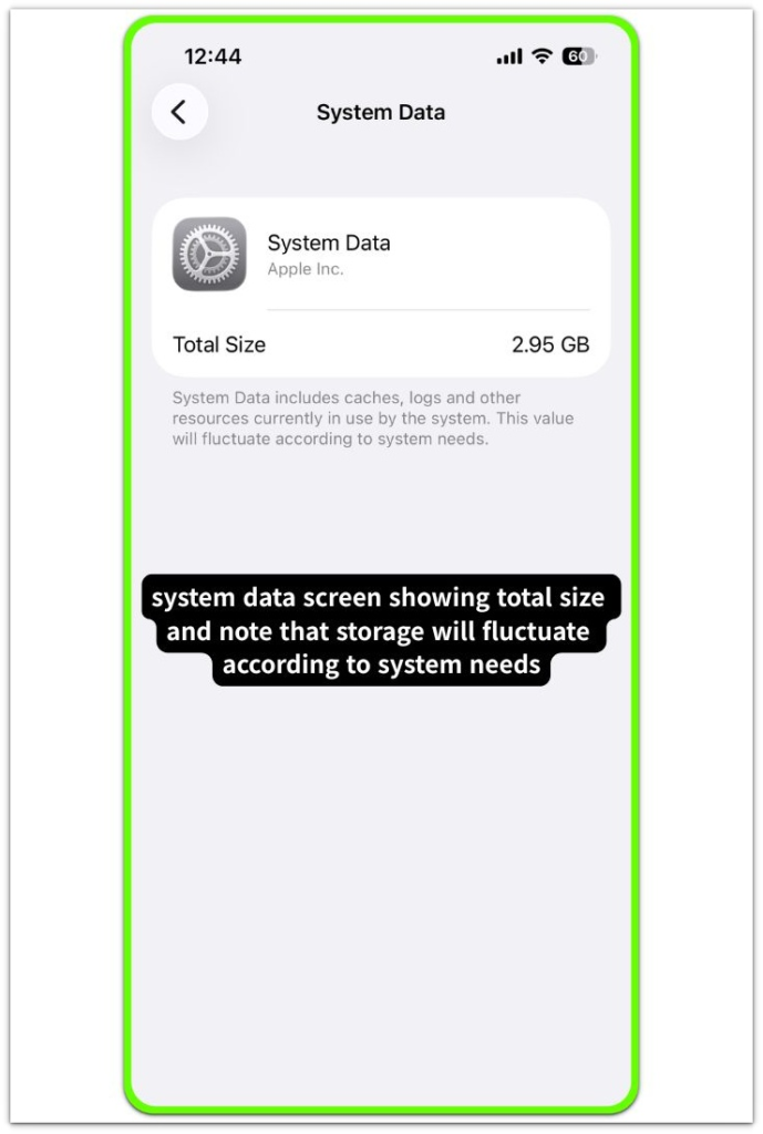 system data screen showing total size and note that storage will fluctuate according to system needs