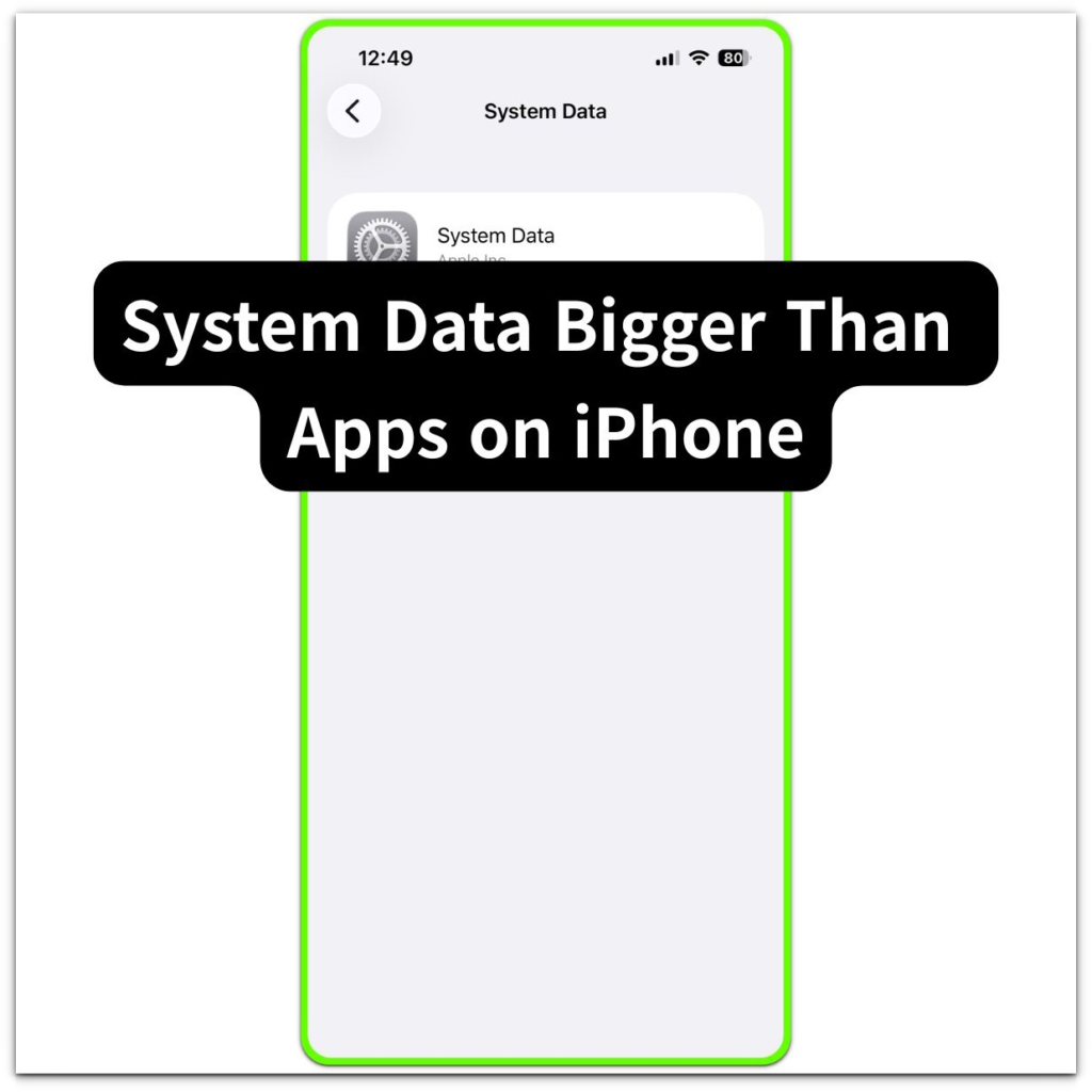 system data bigger than apps on iphone system data detail screen showing total size and allocation description