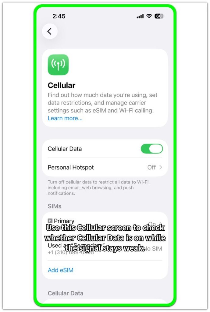 iPhone Cellular settings screen showing Cellular Data turned on for weak signal battery drain checks