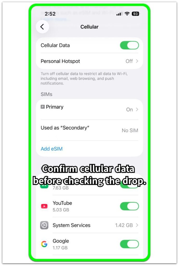 iphone cellular data settings screen before battery drain check