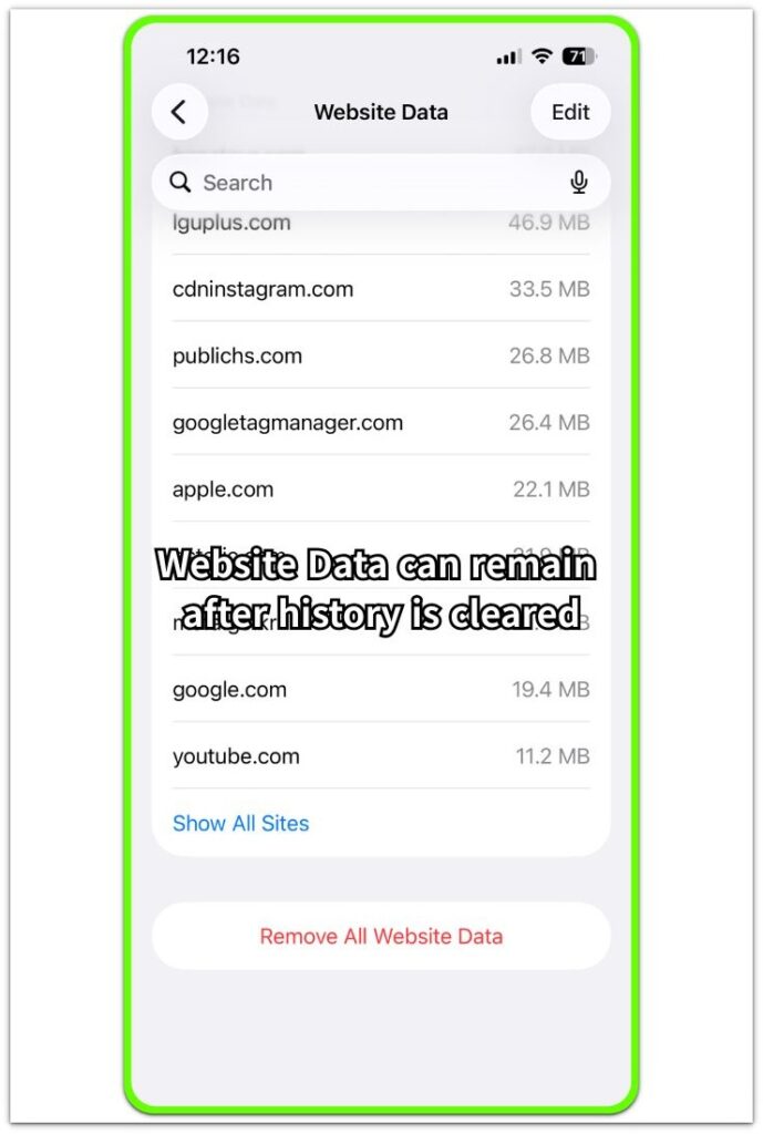 iphone safari website data list showing cached site entries