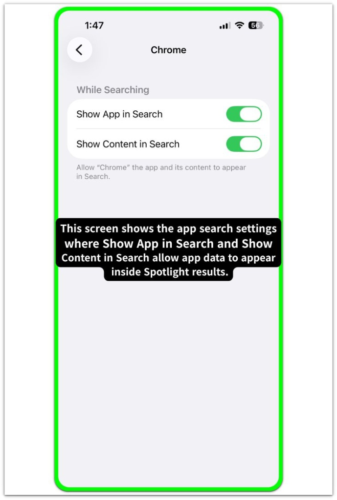 app content indexing settings allowing application data inside spotlight results
